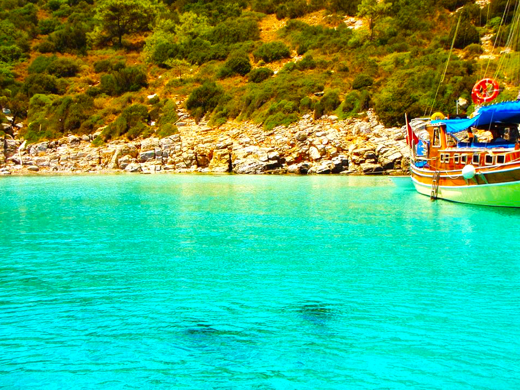 Bodrum Orak Island Boat Trip