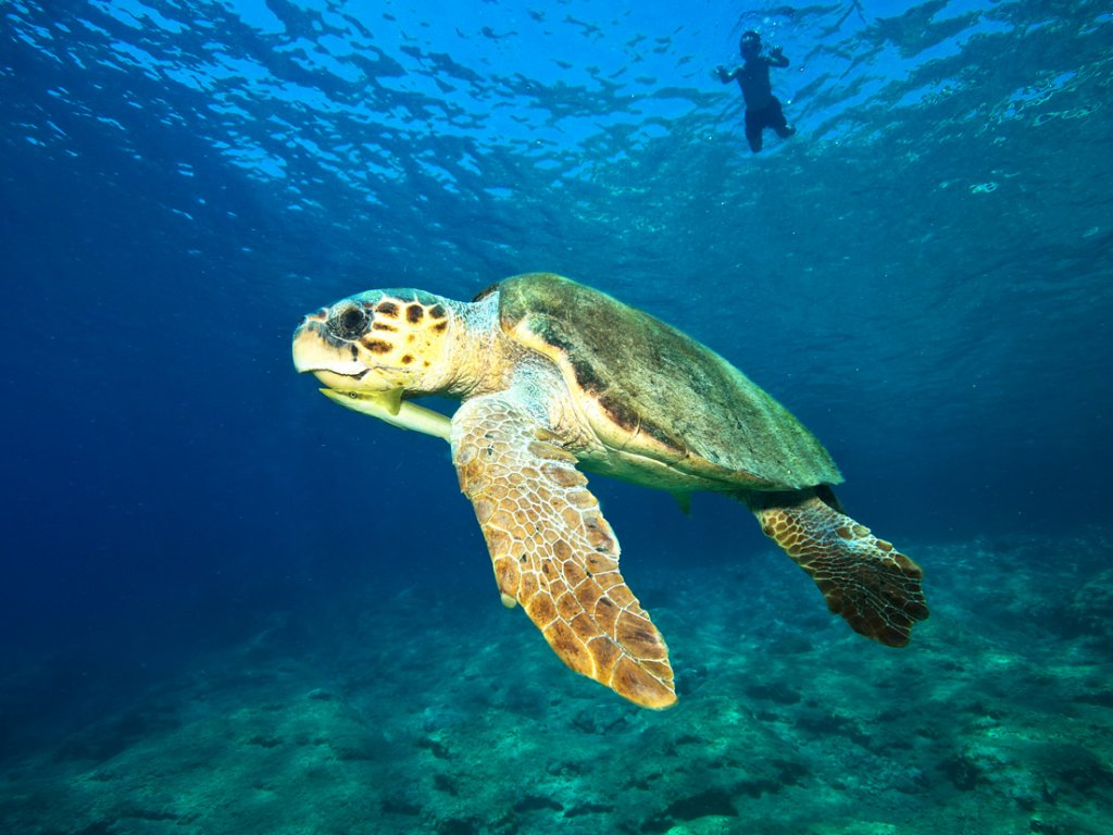 Marmaris Dalyan Tour By Bus